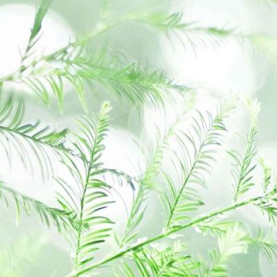出战追击手游果盘版下载