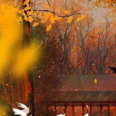 梦幻西游口袋版手游下载